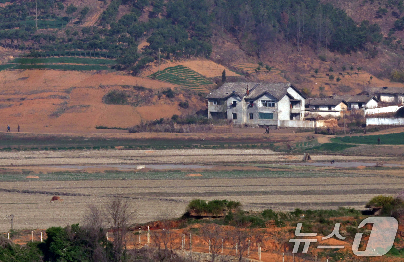 (파주=뉴스1) 구윤성 기자 = 김일성 주석의 생일인 15일 오전 경기도 파주시 오두산통일전망대에서 바라본 북한 황해북도 개풍군의 접경지역 마을에서 주민들이 농사일을 하고 있다. …