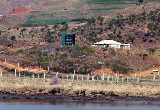 '봄꽃은 피었지만'