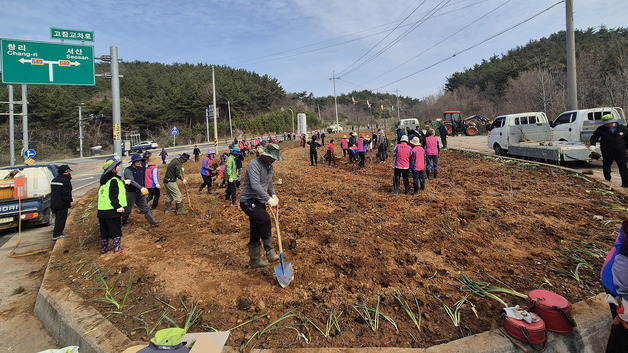 서산 부석면, 주민들 참여 '부석의 봄' 꽃길 조성