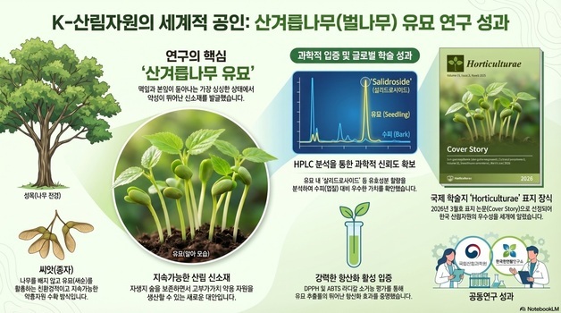벌나무 '껍질' 대신 새싹 먹는다…산림 신소재로 대변신