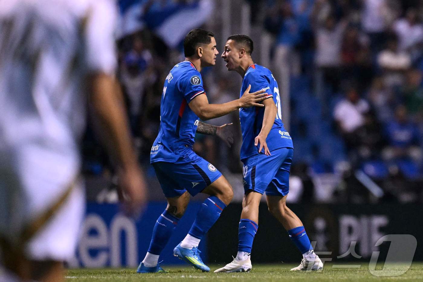 본문 이미지 - 크루즈 아슬 ⓒ AFP=뉴스1