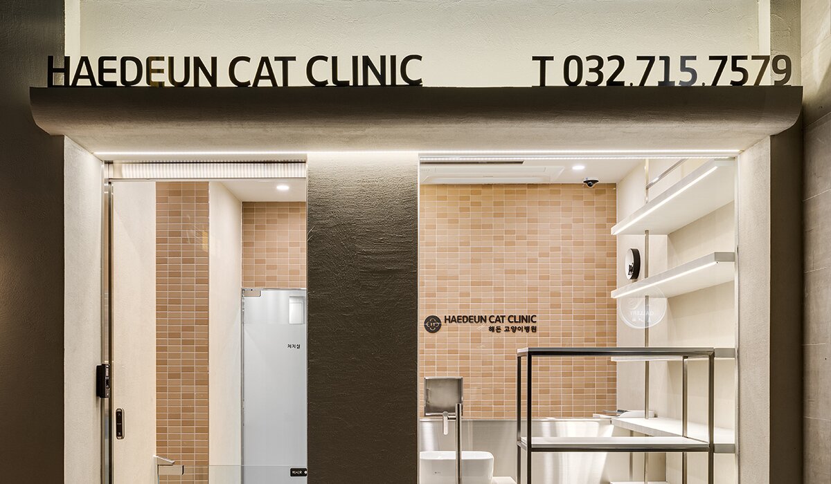 본문 이미지 - 부천 해든동물메디컬센터는 고양이센터를 별도로 분리해 운영하고 있다(병원 제공). ⓒ 뉴스1