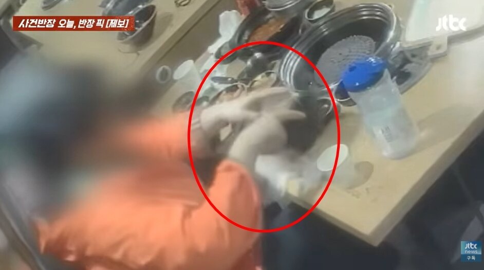 본문 이미지 - JTBC '사건반장'