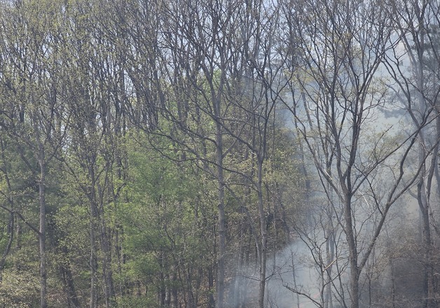 경기 광주 퇴촌면 야산서 불…40여분 만에 진화