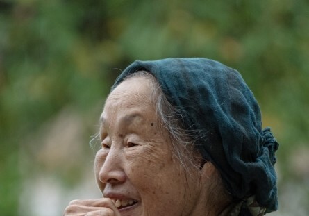 포니정 혁신상에 '국내 1호 여성 조경가' 정영선 대표