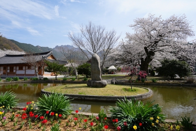 천년고찰 고흥 능가사 활용, 명상·치유 프로그램 운영