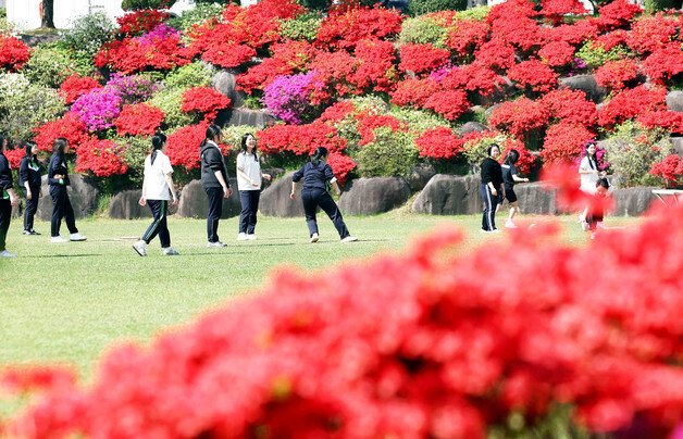 철쭉 활짝 핀 광주