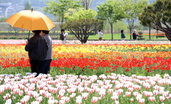 [오늘의 날씨] 강원(17일, 금)…일교차 크고 건조, 내륙·산지 '불조심'