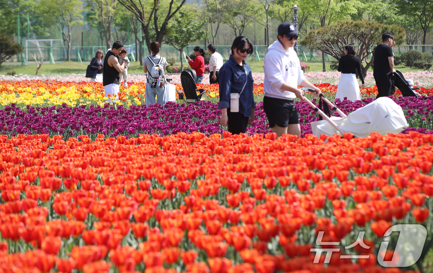 (양산=뉴스1) 윤일지 기자 = 완연한 봄 날씨를 보인 15일 오후 경남 양산 황산공원을 찾은 시민들이 활짝 핀 튤립을 구경하며 봄기운을 즐기고 있다. 2026.4.15/뉴스1
