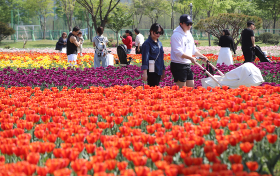형형색색 튤립 감상