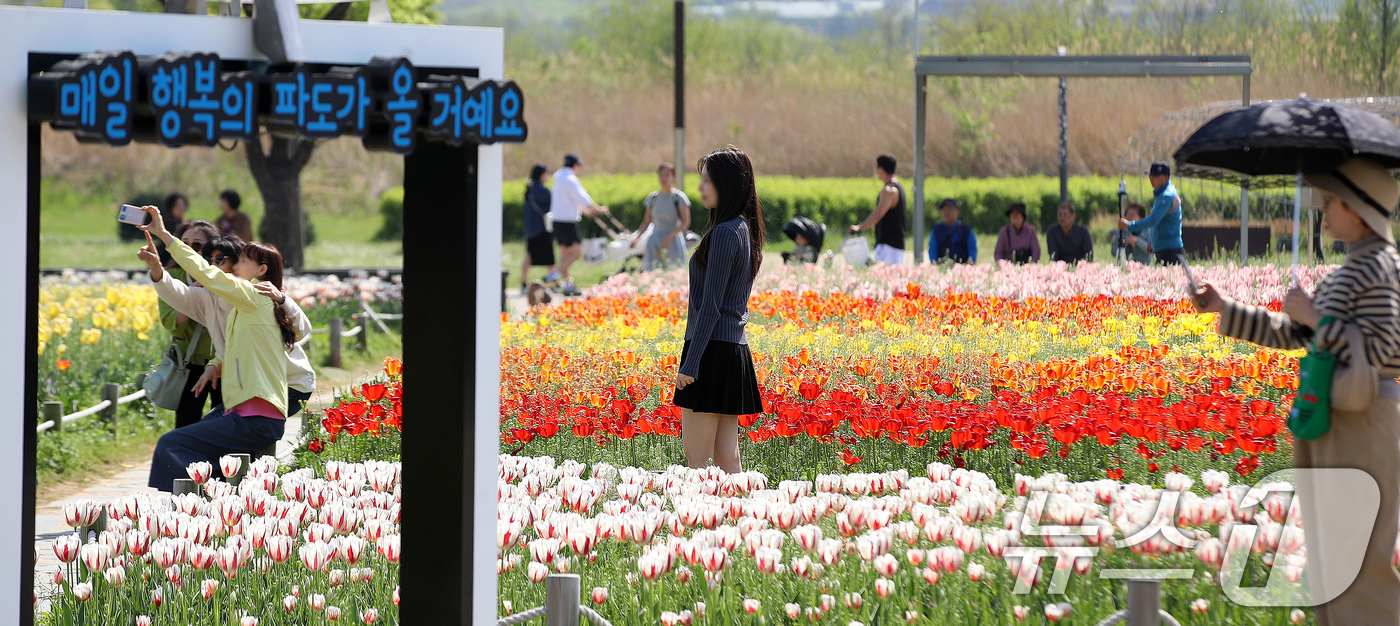 (양산=뉴스1) 윤일지 기자 = 완연한 봄 날씨를 보인 15일 오후 경남 양산 황산공원을 찾은 시민들이 활짝 핀 튤립을 구경하며 봄기운을 즐기고 있다. 2026.4.15/뉴스1