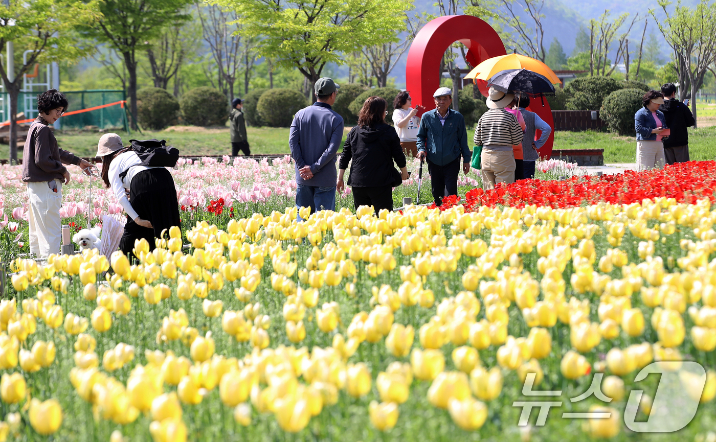 (양산=뉴스1) 윤일지 기자 = 완연한 봄 날씨를 보인 15일 오후 경남 양산 황산공원을 찾은 시민들이 활짝 핀 튤립을 구경하며 봄기운을 즐기고 있다. 2026.4.15/뉴스1