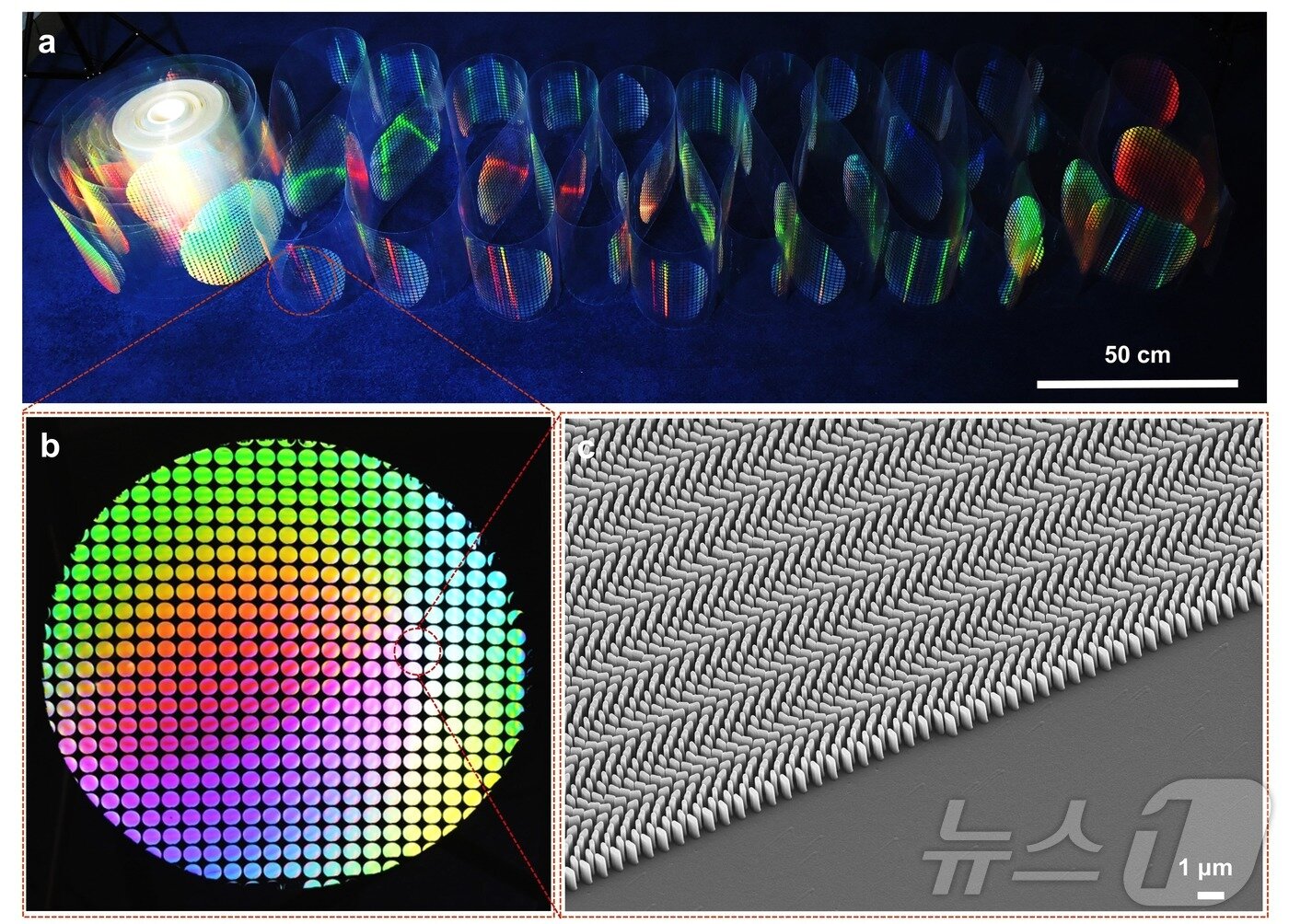 본문 이미지 - 제작된 대면적 메타렌즈(성균관대학교 김인기 교수 제공)