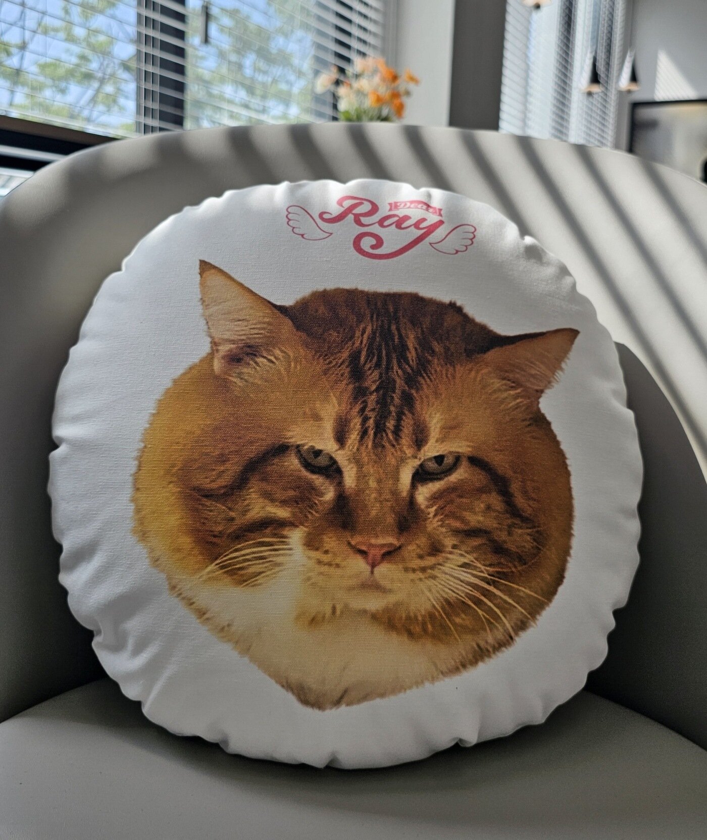 본문 이미지 - 디어레이의 인기 고양이 '관식이' 쿠션 굿즈(디어레이 제공) ⓒ 뉴스1