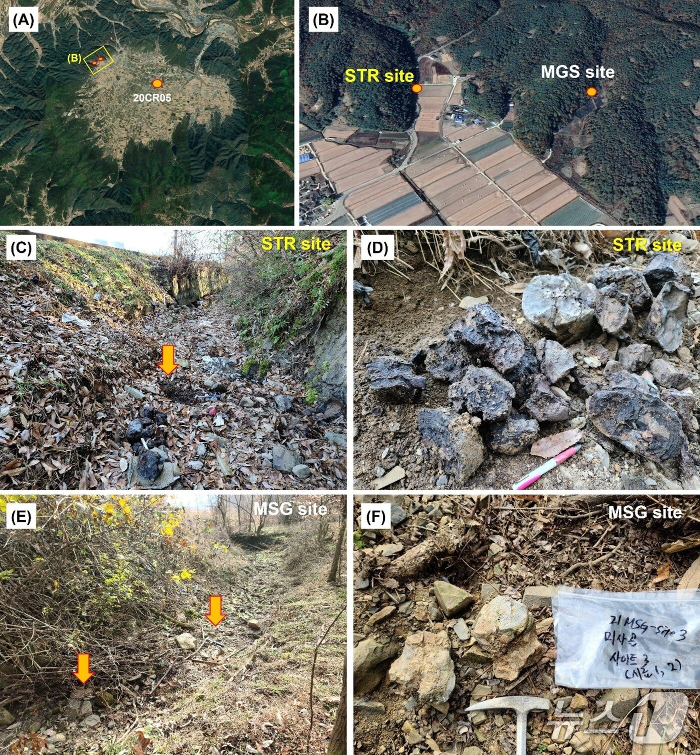 본문 이미지 - 합천 운석충돌구에서 발견한 스트로마톨라이트(한국지질자원연구원 제공) /뉴스1
