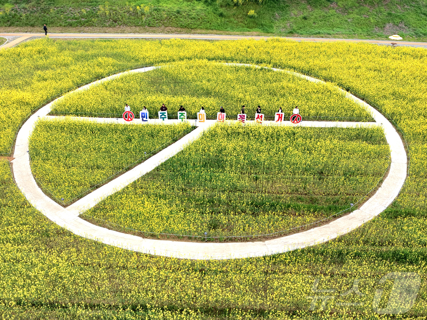 (나주=뉴스1) = 전라남도선거관리위원회가 15일 나주 영산강 유채꽃밭에 기표모양 꽃길을 조성해 6·3지방선거 투표참여 홍보를 진행하고 있다.(전남선관위 제공, 재배포 및 DB 금 …