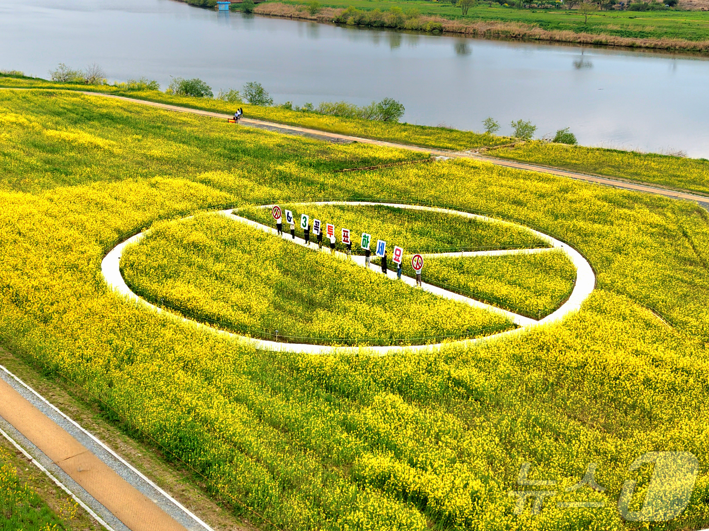 (나주=뉴스1) = 전라남도선거관리위원회가 15일 나주 영산강 유채꽃밭에 기표모양 꽃길을 조성해 6·3지방선거 투표참여 홍보를 진행하고 있다.(전남선관위 제공, 재배포 및 DB 금 …