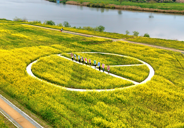 '대리투표 의혹' 민주당 화순군수 경선, 당원 20%·일반 80% 적용(종합)