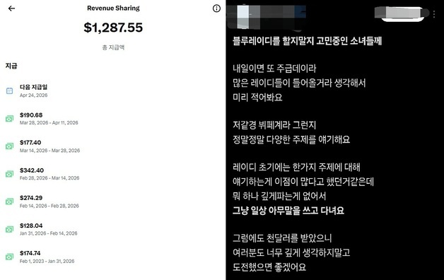 "X로 돈 벌어요" 블루레이디 열풍…부업 뛰어드는 2030 여성들