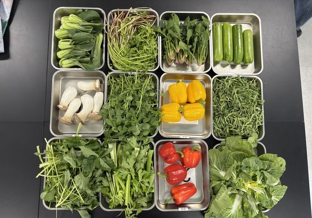 서울시 봄철 농산물 검사 확대…부적합 30건 압류 폐기