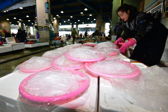얼음 방석 생선 신선도 지키는데 최고