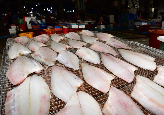 '가자미 말리기'