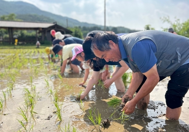 괴산군 '괴산서울농장' 방문객 늘어…도농 상생 모델 안착
