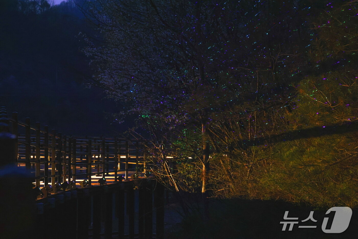 본문 이미지 - 보은군 내북면 궁저수지 둘레길 야경 (보은군 제공. 재판매 및 DB금지) 