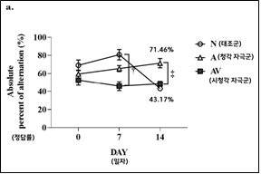 본문 이미지 - 아무런 자극을 받지 않은 N(대조군)의 정답률은 43.17%로 낮아진 반면 청각 자극을 받은 그룹 A는 71.46%까지 상승했다. (한림대춘천성심병원 제공)
