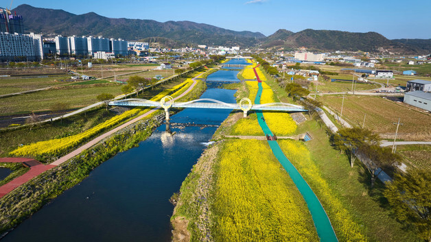 낮보다 화려한 밤…'화순 봄꽃축제' 17∼26일 꽃강길·남산공원서