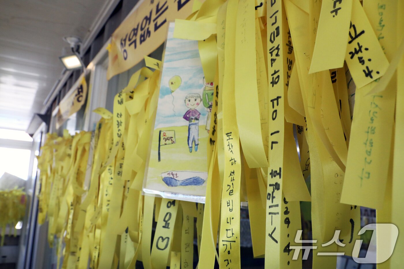 본문 이미지 - 세월호 참사 12주기인 16일 전남 진도항(구 팽목항) 기억관 분향소에 걸린 노란 리본. 2026.4.16 ⓒ 뉴스1 이수민 기자