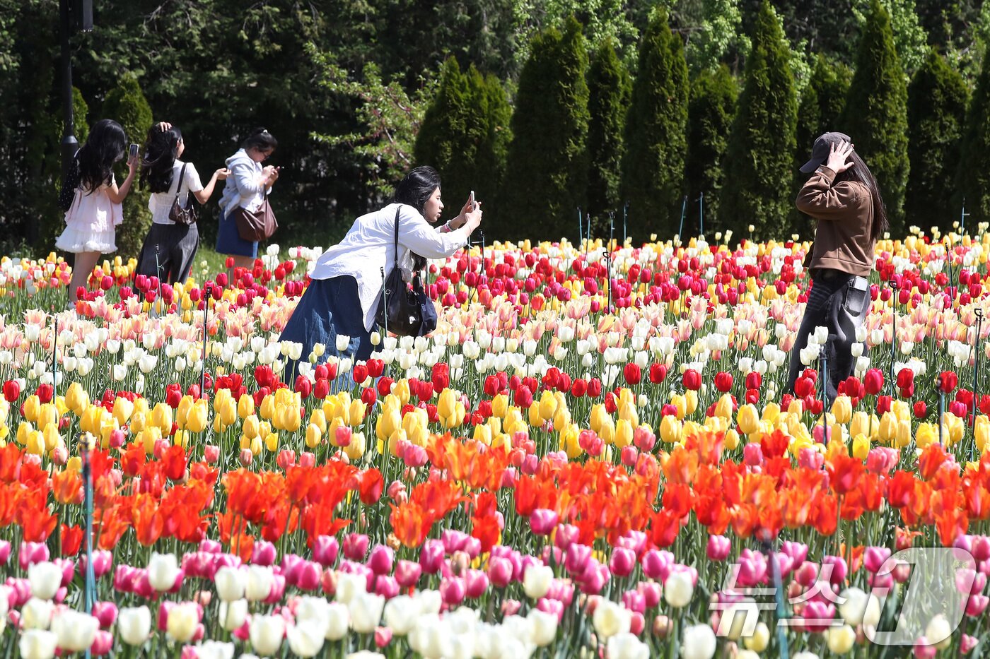 본문 이미지 - 초여름 날씨를 보인 16일 대구 달서구 테마파크 이월드를 찾은 시민들이 곱게 핀 튤립정원을 감상하고 있다. 2026.4.16 ⓒ 뉴스1 공정식 기자