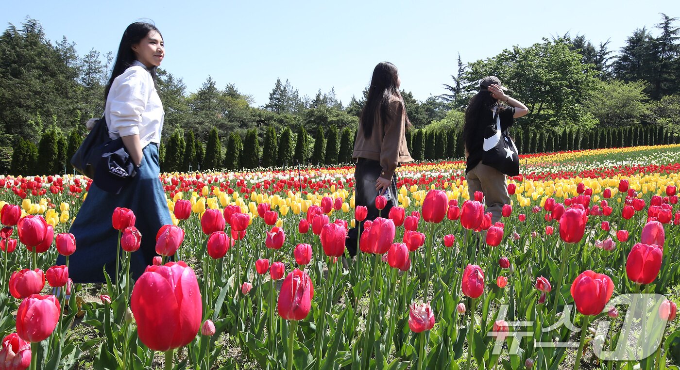 본문 이미지 - 초여름 날씨를 보인 16일 대구 달서구 테마파크 이월드를 찾은 시민들이 곱게 핀 튤립정원을 감상하고 있다. 2026.4.16 ⓒ 뉴스1 공정식 기자