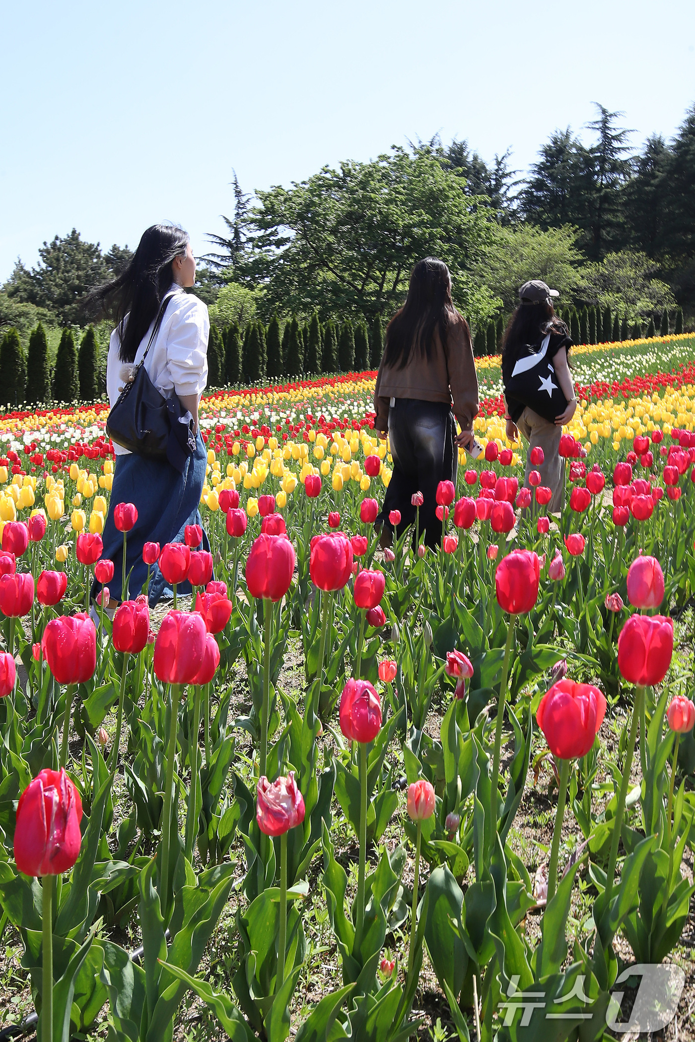 (대구=뉴스1) 공정식 기자 = 초여름 날씨를 보인 16일 대구 달서구 테마파크 이월드를 찾은 시민들이 곱게 핀 튤립정원을 감상하고 있다. 2026.4.16/뉴스1