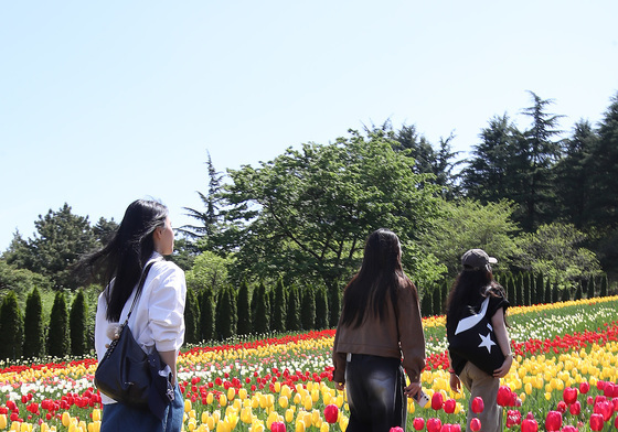 이월드 튤립 산책