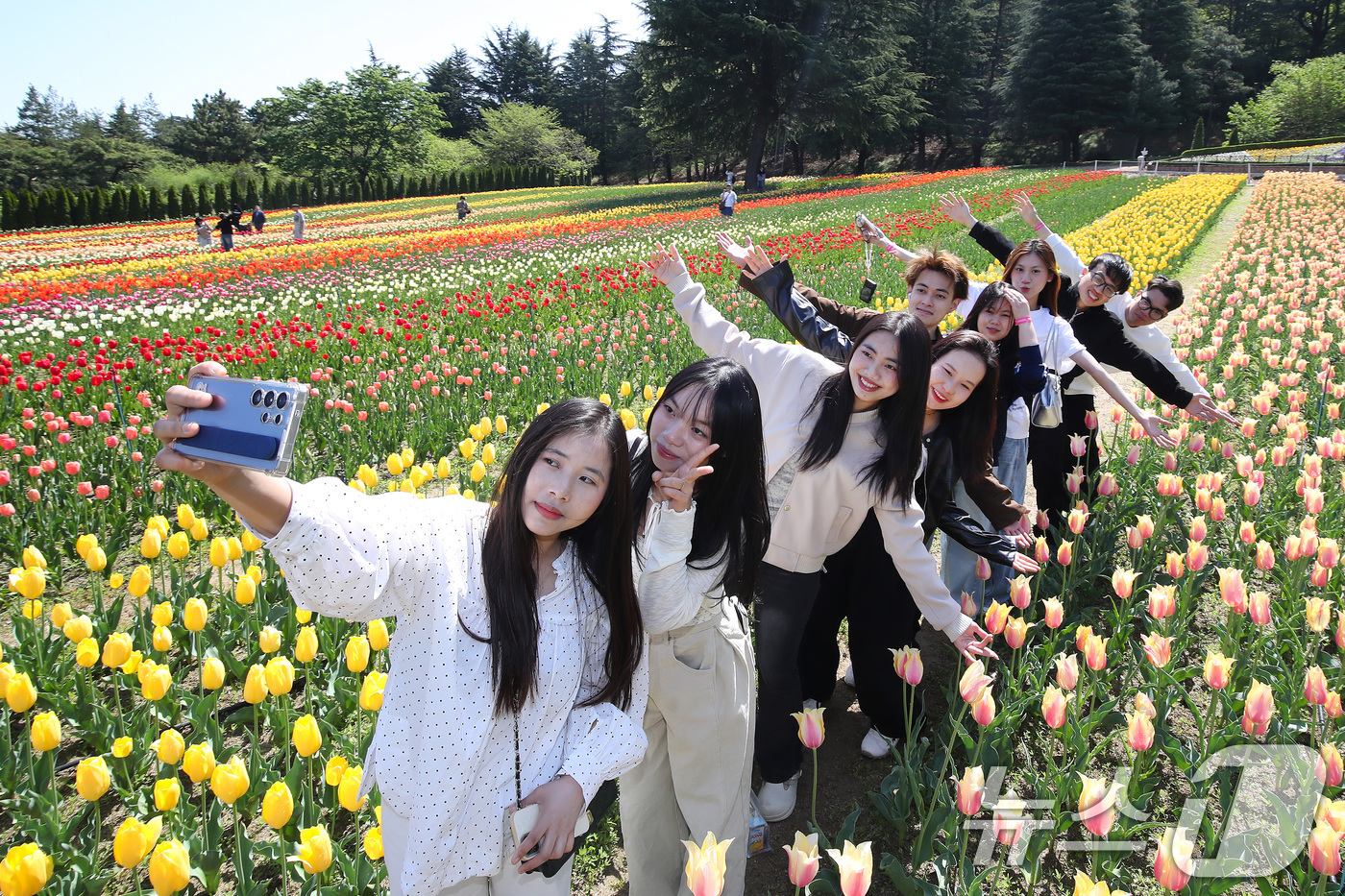 (대구=뉴스1) 공정식 기자 = 초여름 날씨를 보인 16일 대구 달서구 테마파크 이월드를 찾은 대구가톨릭대 언어교육원 한국어과정 유학생들이 곱게 핀 튤립정원에서 기념촬영을 하고 있 …