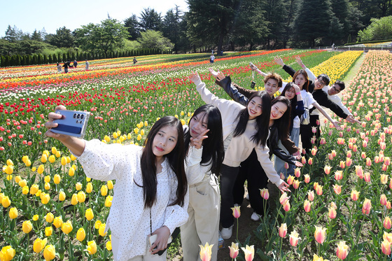 외국인 유학생들 '튤립정원으로 봄나들이'