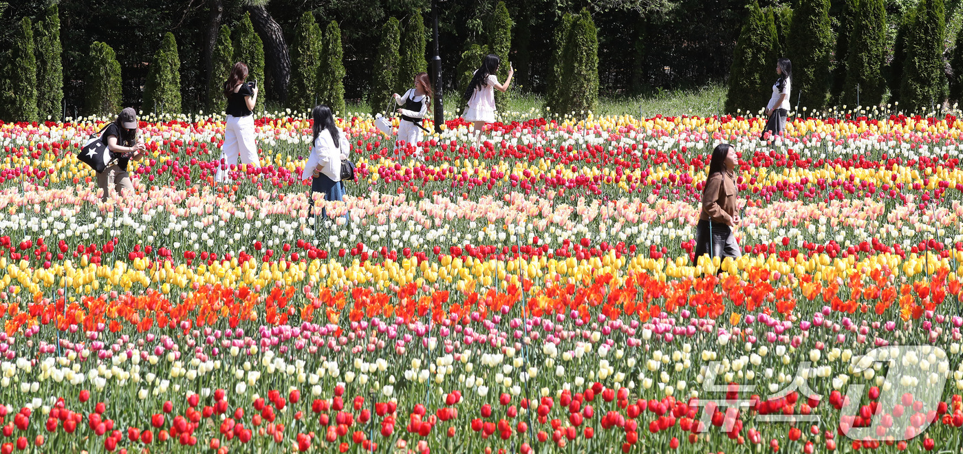 (대구=뉴스1) 공정식 기자 = 초여름 날씨를 보인 16일 대구 달서구 테마파크 이월드를 찾은 시민들이 곱게 핀 튤립정원을 감상하고 있다. 2026.4.16/뉴스1