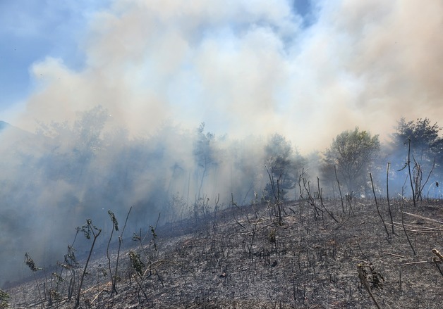 광양 진상면 야산 불…헬기 10대·인력 104명 투입 진화 중