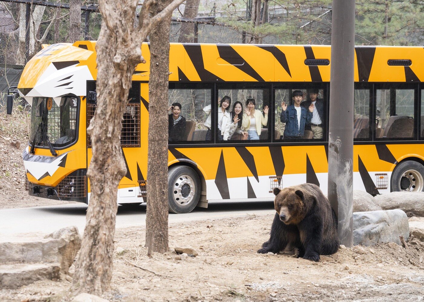 본문 이미지 - 친환경 EV버스(에버랜드 제공)