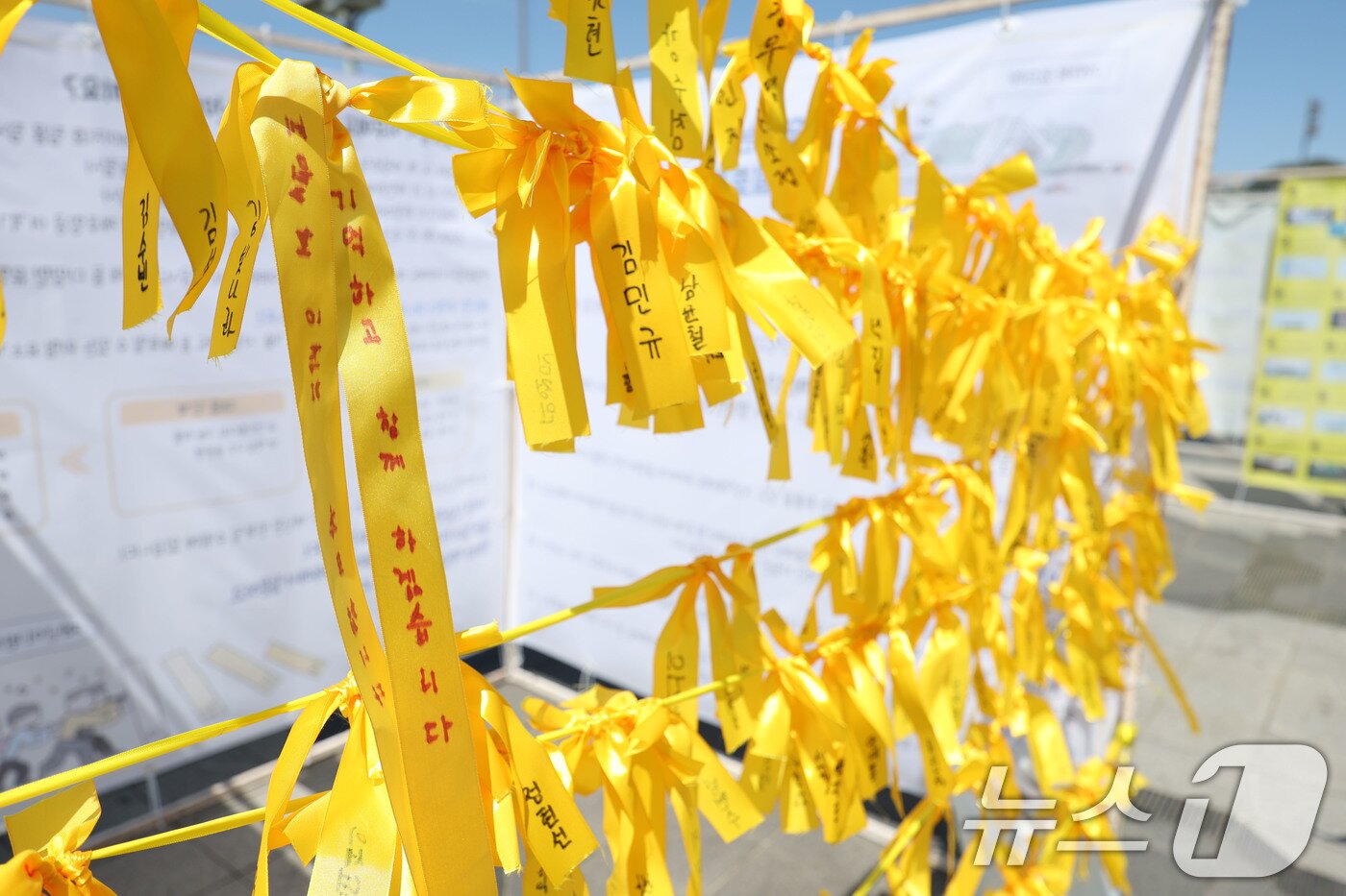 본문 이미지 - 세월호 참사 12주기를 맞은 16일 광주 동구 5·18민주광장에 세월호를 상징하는 노란 리본이 나부끼고 있다. 2026.4.16 ⓒ 뉴스1 이승현 기자