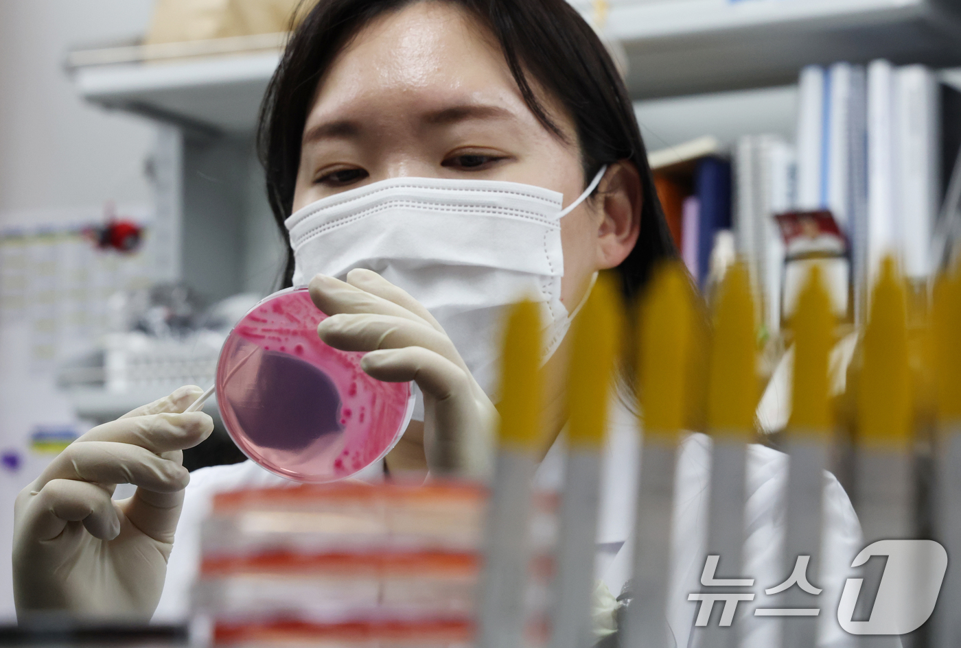 (수원=뉴스1) 김영운 기자 = 때이른 여름철 날씨에 식중독 위험성이 높아지고 있는 가운데 16일 경기 수원시 권선구 경기도보건환경연구원에서 감염병연구부 수인성질환팀 직원이 식중독 …