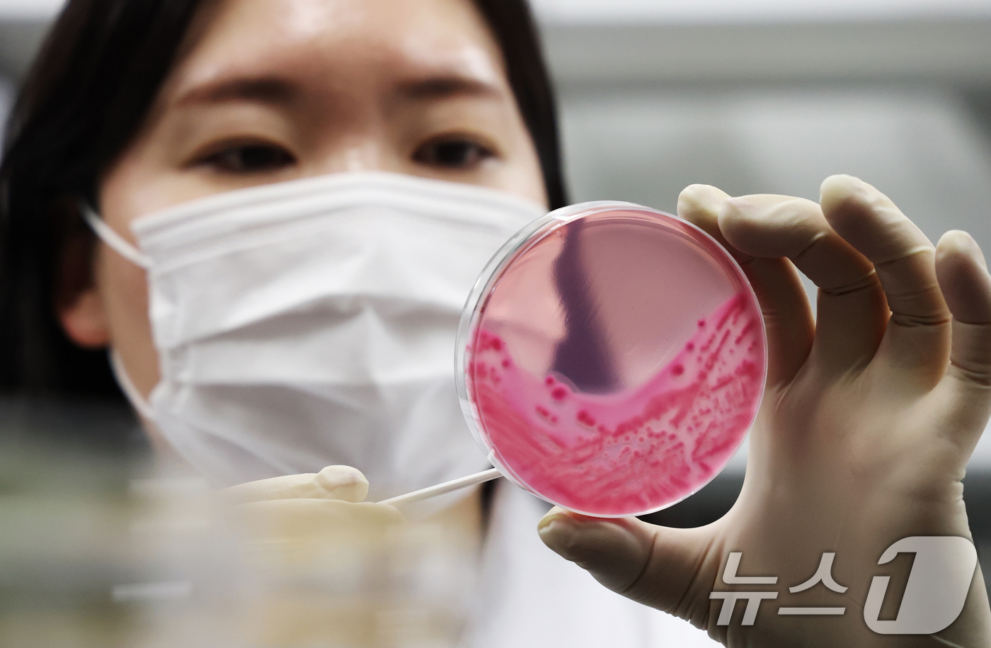 (수원=뉴스1) 김영운 기자 = 때이른 여름철 날씨에 식중독 위험성이 높아지고 있는 가운데 16일 경기 수원시 권선구 경기도보건환경연구원에서 감염병연구부 수인성질환팀 직원이 식중독 …