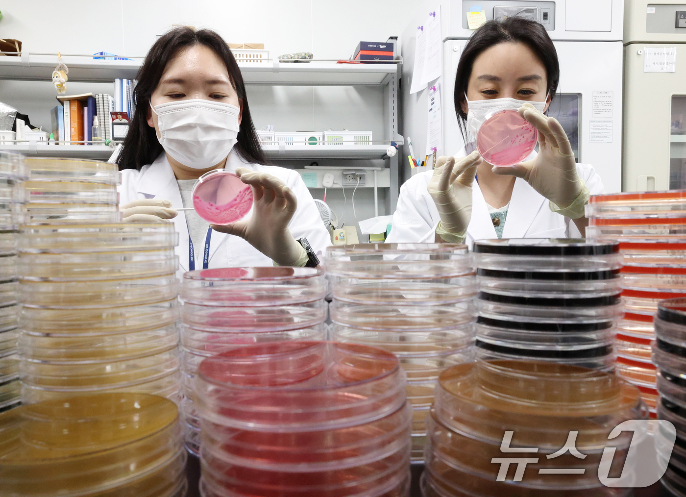 (수원=뉴스1) 김영운 기자 = 때이른 여름철 날씨에 식중독 위험성이 높아지고 있는 가운데 16일 경기 수원시 권선구 경기도보건환경연구원에서 감염병연구부 수인성질환팀 직원이 식중독 …