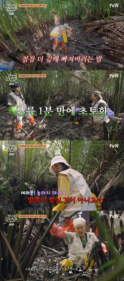 본문 이미지 - tvN '언니네 산지직송 in 칼라페' 화면 캡처