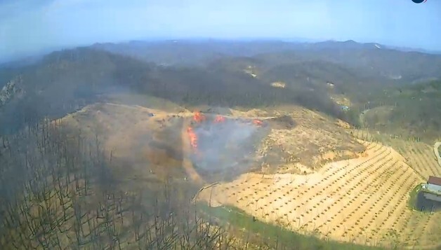 안동 길안면 벌채목 불 4시간 만에 진화…"담뱃불 실화 추정"(종합2보)