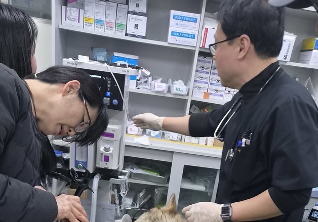 드디어 찾은 늑구