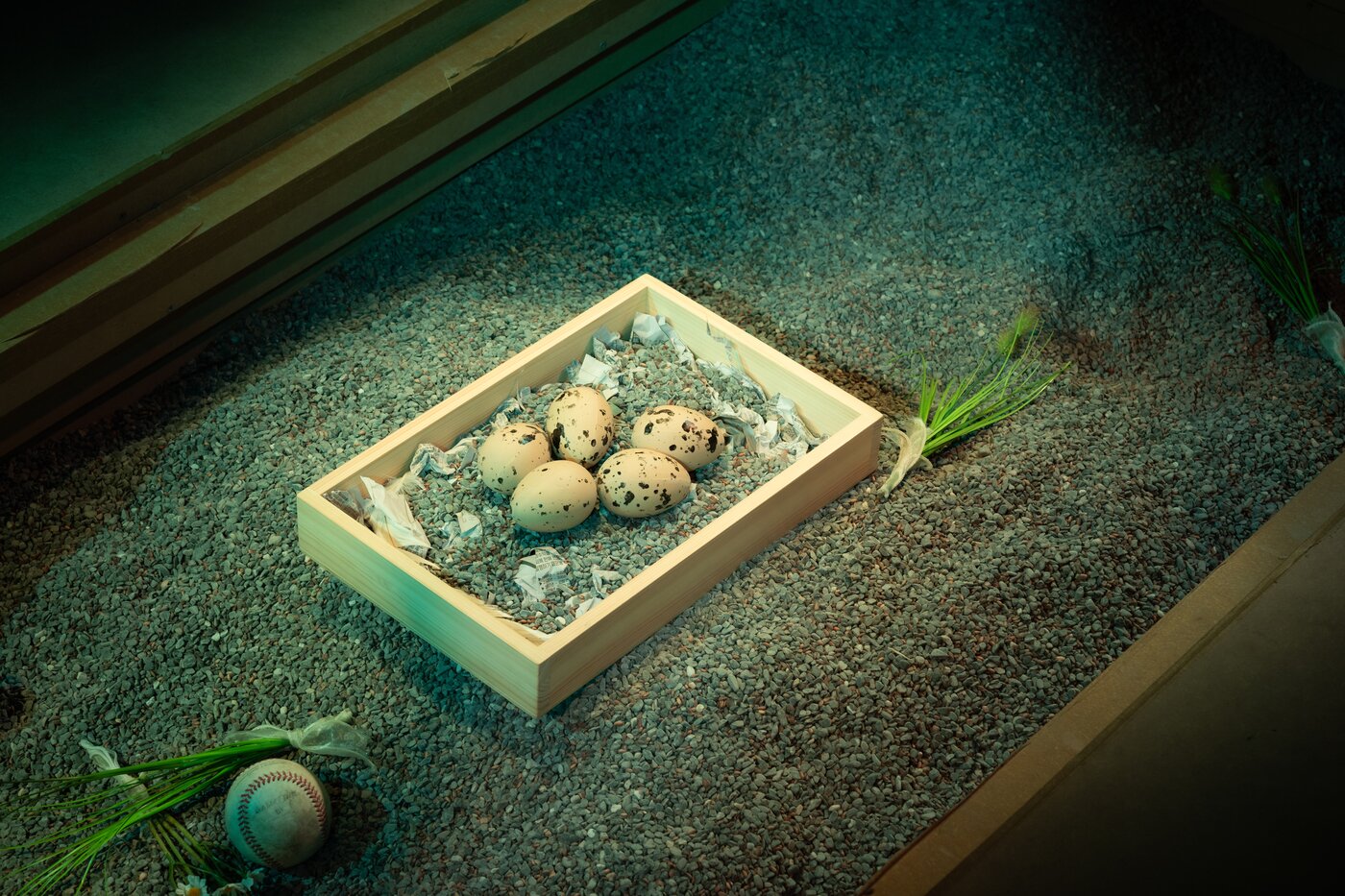 본문 이미지 - '이해의 적자'는 이해할 수 없는 일이 반복되는 세상에서 말과 행동, 관계를 끝내 이해해보려다 서로의 아픔을 외면하고 또 외면받는 사람들의 이야기를 그린다. 극은 김민지를 중심으로 가족과 친구, 연인 사이에서 벌어지는 소란스러운 시간을 따라간다.