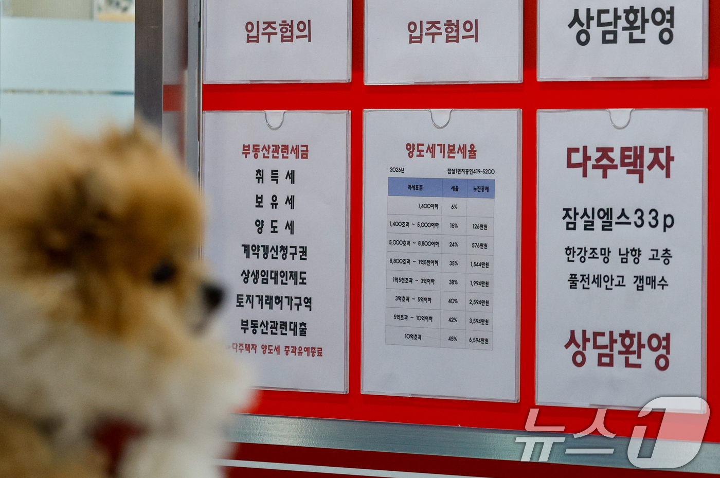 (서울=뉴스1) 안은나 기자 = 다주택자의 '관행적 대출 연장' 전면 중단 조치가 시행된 17일 서울 송파구의 한 공인중개사무소에 다주택자 세금 상담 안내 문구가 붙어있다.이날부터 …