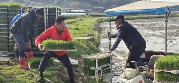 "풍년 기원합니다"…양평서 올해 첫 모내기
